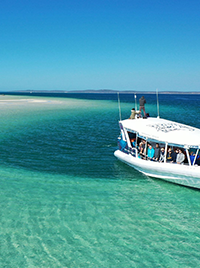 Pacific Whale Foundation Eco-Adventures Australia, Hervey Bay, Queensland © Pacific Whale Foundation Eco Adventures