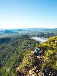 Scenic Rim Trail, Scenic Rim, Main Range National Park, Queensland © Spicers Retreat/Great Walks of Australia