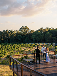 St Hugo winery, Barossa Valley, South Australia © Tourism Australia
