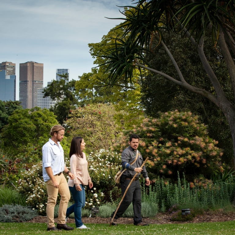 Dreamtime Southern X - Dreamtime Heritage Tour