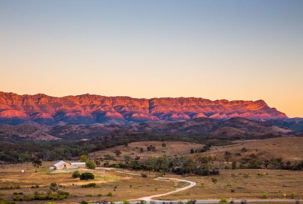 A wide landscape view of Arkaba, Flinders Ranges, South Australia. A winding dirt track leads through dry, rolling plains toward a small homestead, with the majestic mountain range glowing deep purple and orange at sunset. © Wild Bush Luxury