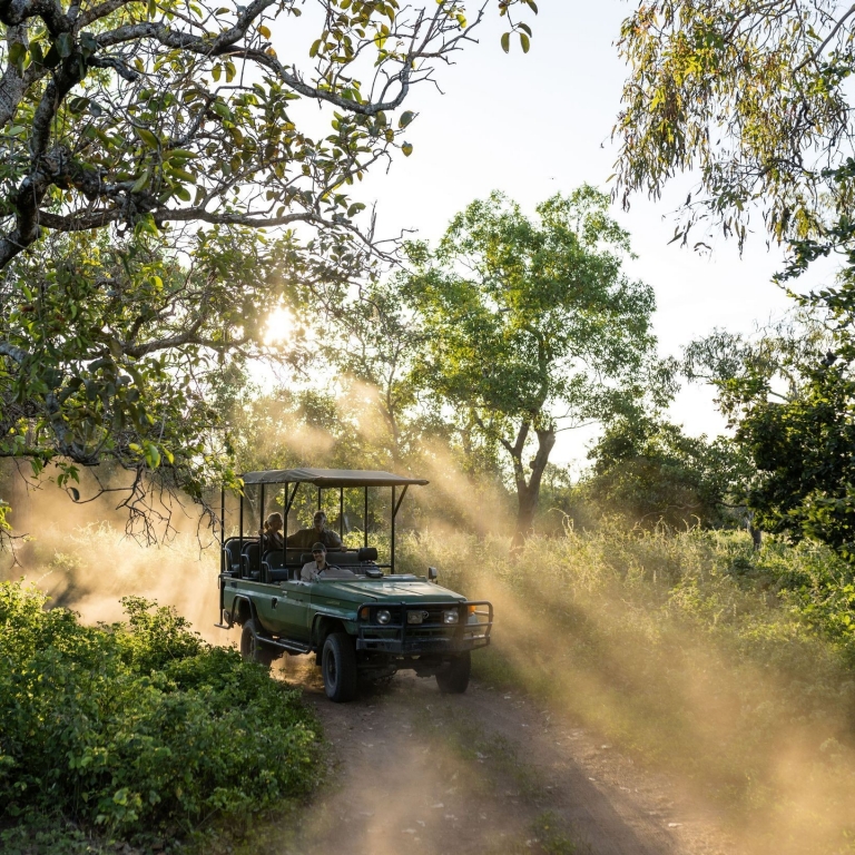 An open-sided 4WD safari vehicle travels along a dusty track through a dense forest of paperbark and pandanus trees. The setting sun beams through the foliage, creating dramatic rays of light and illuminating the dust kicked up by the vehicle. © Tourism Australia