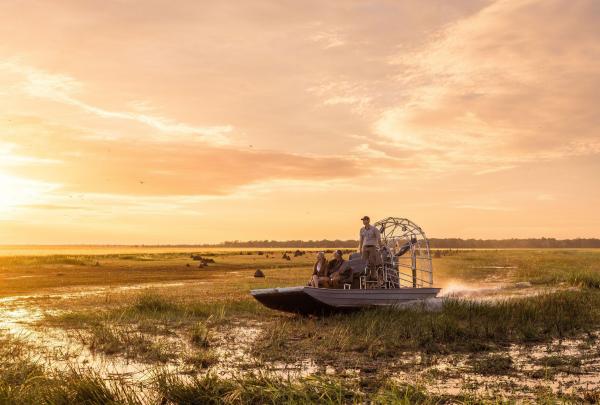 A guide operates an airboat, gliding through the vast, shallow wetlands of the Mary River floodplains at sunset. Two guests sit at the front of the vessel, taking in the golden light reflecting off the water and the tall grasses that stretch toward the horizon. © Tourism Australia