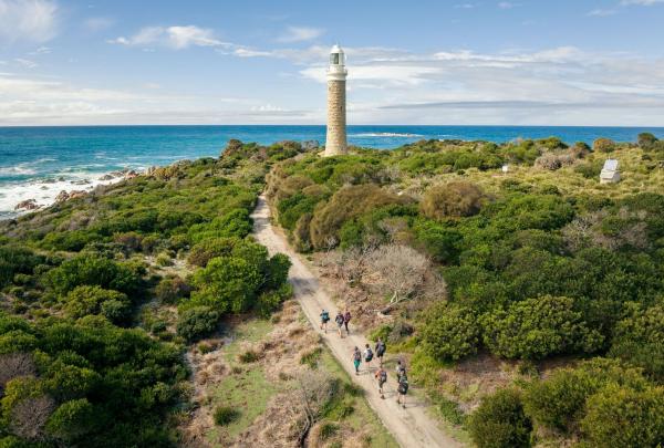 An aerial view captures a group of hikers immersed in the pristine natural beauty of Tasmania’s Bay of Fires. They walk along a winding path through lush coastal foliage, heading toward the distant Eddystone Point Lighthouse. The surrounding landscape is untouched and serene, with glimpses of ocean beyond the greenery on an overcast day. © Great walks of Australia