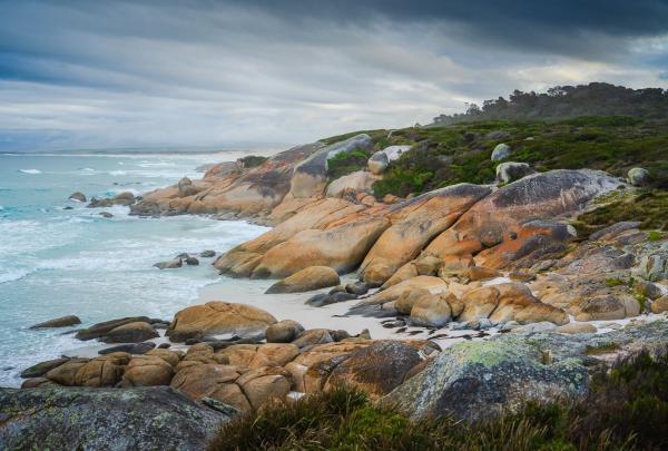 A striking view over the iconic reddish-orange granite rocks of the Bay of Fires on Tasmania�s east coast. The scene is dramatic as waves crash powerfully against the rocks, sending up white spray. Overhead, moody grey clouds fill the sky, creating a sense of wild coastal beauty and untamed nature, Bay of Fires, Tasmania © Tourism Australia
