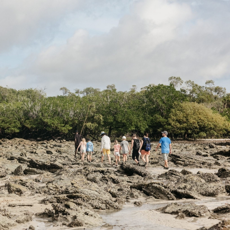 A group of guests follows their Bardi guide across a rugged, rocky shoreline at low tide. They are walking toward a thick line of green mangroves, exploring the unique intersection of land and sea that defines the Dampier Peninsula. © Tourism Australia