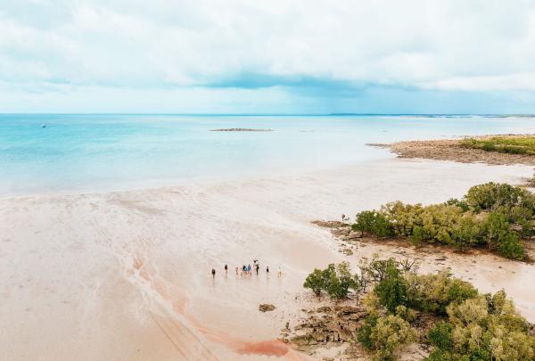 A high-angle aerial shot showing a tour group as small figures on a vast, pale sandy beach at low tide. The turquoise waters of King Sound meet the white sand, with lush green mangroves and rocky outcrops lining the shore under a soft, cloudy sky. © Tourism Australia