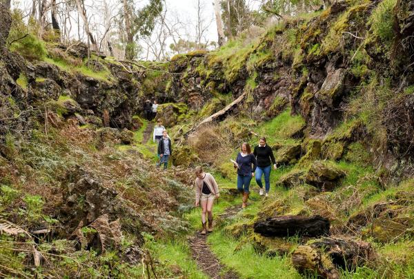 Visitors hike through a rugged volcanic valley at Budj Bim, surrounded by moss-covered basalt rocks and native ferns. The trail follows the natural path created by ancient lava flows from the now-dormant volcano. © Tourism Australia