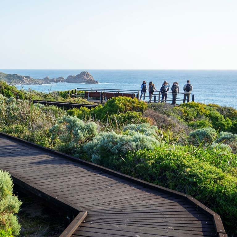 Cape to Cape Walk hikers admire the stunning turquoise ocean from a winding timber boardwalk at Cape Naturaliste Lighthouse in Margaret River, surrounded by lush coastal heath and the distant, rocky silhouette of the coast. © Tourism Australia