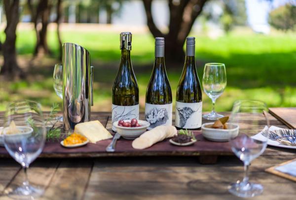 A rustic timber table at Windows Estate in Yallingup, Western Australia, features a Cape to Cape Walk gourmet spread of local wines, cheeses, and olives, perfectly set for a relaxing afternoon under the shade of lush green trees. © Tourism Australia
