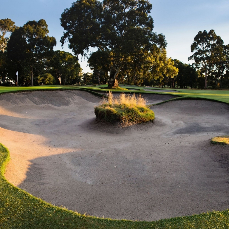 A large, complex sand bunker at Commonwealth Golf Club in Melbourne, Victoria, features a small island of native grass at its centre, surrounded by the perfectly manicured green turf of the fairway and a backdrop of leafy trees. © Great Golf Courses of Australia