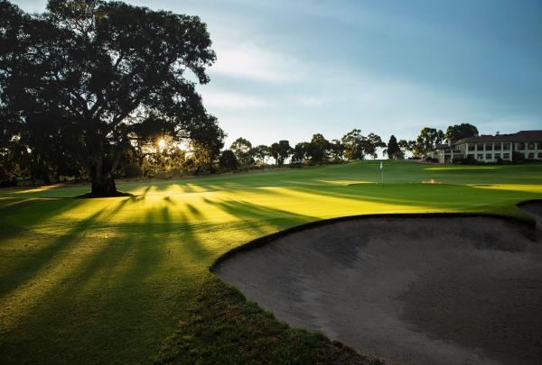 Sunlight filters through a large, leafy tree at Commonwealth Golf Club in Melbourne, Victoria, casting long, dramatic shadows across a pristine green fairway and a deep sand bunker towards the elegant clubhouse in the distance. © Great Golf Courses of Australia