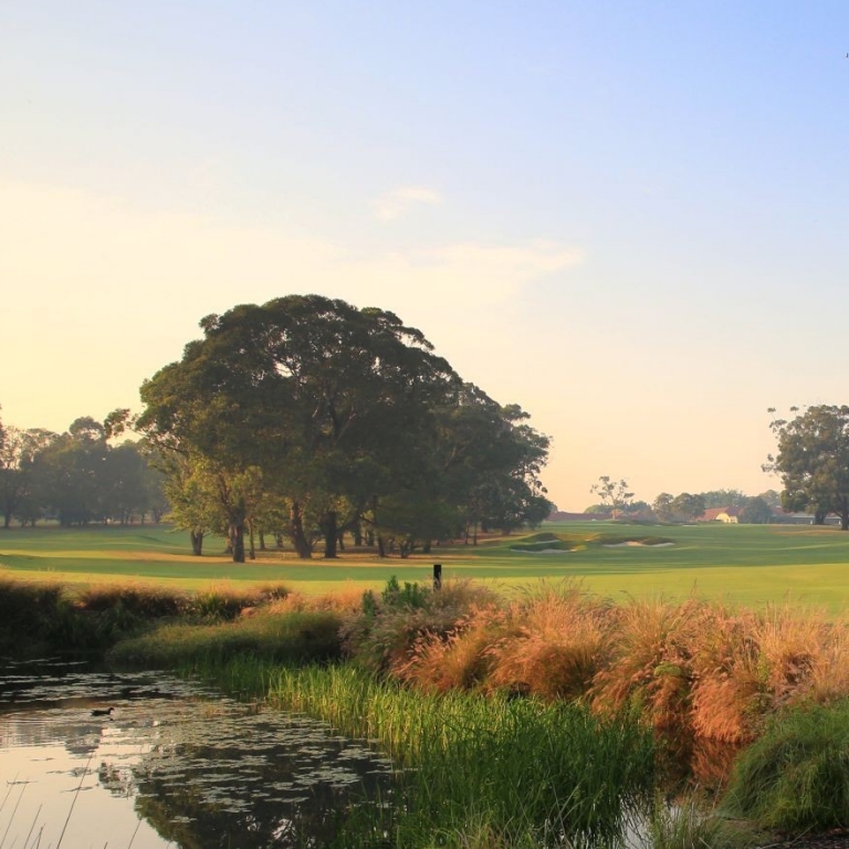 A wide, lush green fairway at Concord Golf Club in Sydney, New South Wales, is bordered by mature trees and a tranquil pond in the foreground, all glowing under the soft, golden light of a clear morning sky. © Concord Golf Club