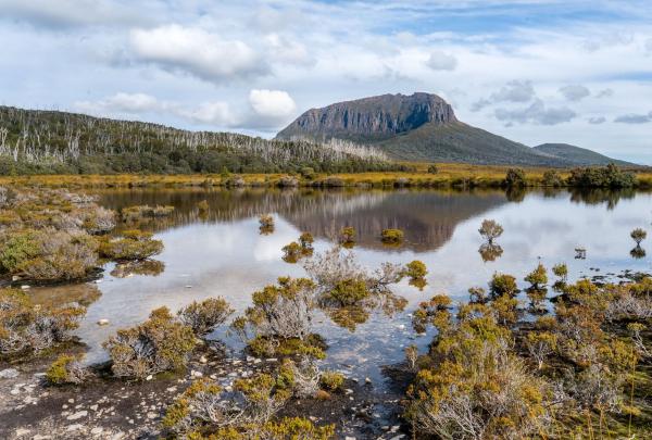 The majestic, flat-topped peak of Mount Pelion West is perfectly reflected in the still, tea-coloured waters of a sub-alpine tarn on the Cradle Mountain Signature Walk in Tasmania, surrounded by low-lying heath and ancient forest. © Tourism Australia