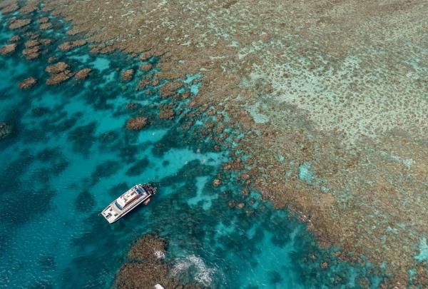 An aerial view shows the Dreamtime Dive & Snorkel catamaran floating on the turquoise waters of the Great Barrier Reef in Queensland, highlighting the intricate patterns of the expansive coral reef system from above. © Tourism Australia