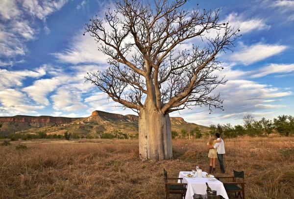 A couple stands by a majestic boab tree at El Questro Homestead in the Kimberley, Western Australia. A white-clothed dining table is set for two in the golden grass, framed by distant red ranges and a vast, clouded sky. © Tourism Western Australia