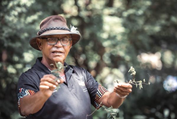 An Aboriginal guide holds native plant cuttings during a tour at Firescreek Botanical Winery on the Central Coast, New South Wales. He wears a traditional Akubra hat and a black polo shirt with Indigenous art on the sleeves. © Tourism Australia