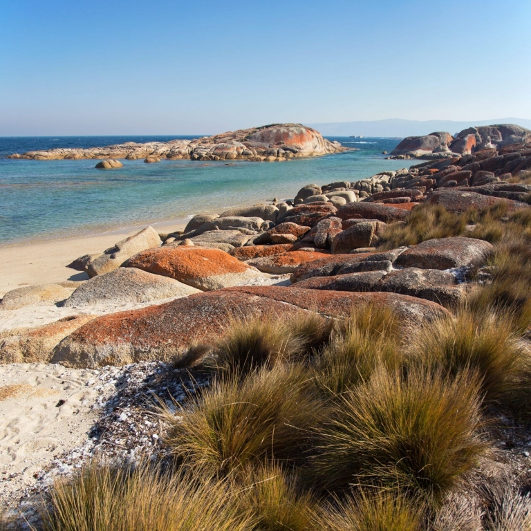 Low-angle view of vibrant orange lichen-covered boulders lining a white sandy beach on a Flinders Island Walking Adventure in Comfort, Tasmania. The crystal-clear turquoise water and a bright blue sky create a serene coastal scene. © Tourism Australia