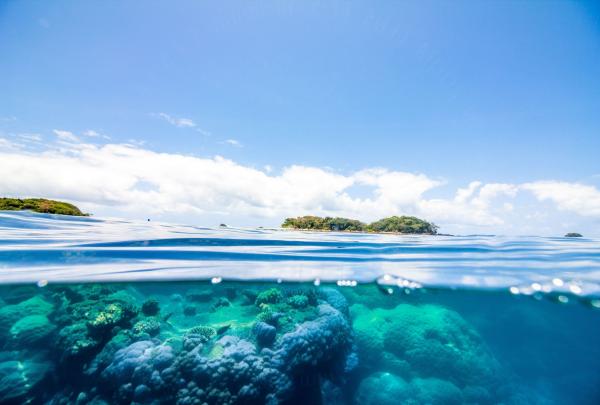 An over-under shot shows the vibrant coral reef below the surface and the lush Frankland Islands above. © Frankland Islands Reef Cruises