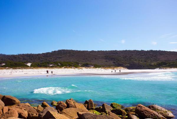 Hikers walk across the vast, white sand of a remote beach during a Freycinet Experience Walk in Tasmania. The turquoise ocean waves lap the shore in the foreground, framed by mossy brown rocks and low, scrub-covered hills under a clear blue sky. © Friendly Beaches Lodge/Great Walks of Australia