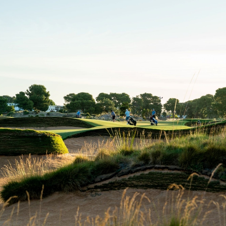 Golfers stand on a green fairway framed by large, deep sand bunkers at Glenelg Golf Club, South Australia. The low afternoon sun highlights the grassy textures and the silhouettes of surrounding pine trees against a clear, pale sky. © Glenelg Golf Club