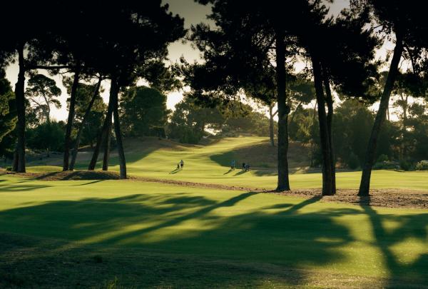 Tall, dark pine trees cast long shadows across the manicured green fairways of Glenelg Golf Club in South Australia. In the distance, golfers walk along the undulating course under the soft, golden light of the late afternoon sun. © Glenelg Golf Club
