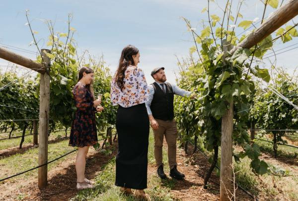 A guide in a flat cap shows two women through the lush grapevines at House of Arras in Pipers River, Tasmania. This expert-led tour near Launceston offers an intimate look at the cool-climate vineyards behind world-class sparkling wine. © House of Arras