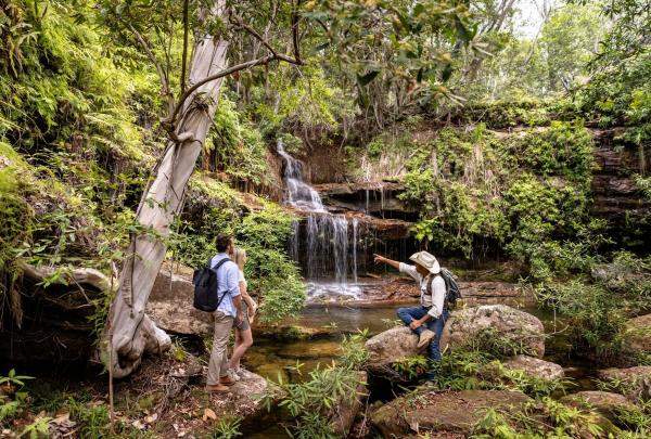 A guide from Jarramali Rock Art Tours stands with a couple of guests beside a beautiful waterfall, in Laura, Cook, Queensland © Tourism Australia