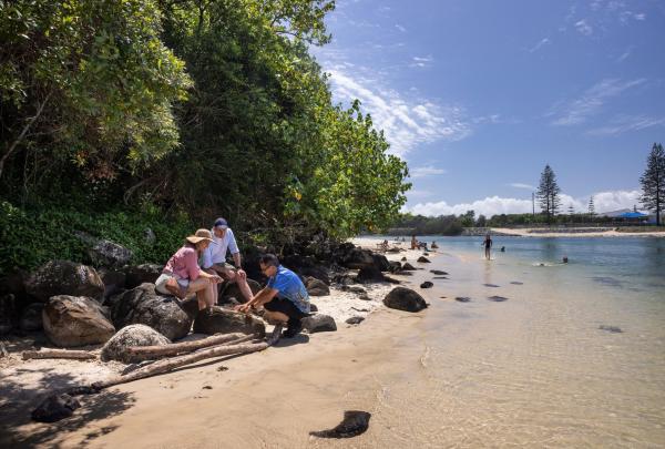 Group on Tallebudgera Creek, Walkabout Tour, Jellurgal Aboriginal Cultural Centre, Burleigh Heads, Queensland © Tourism Australia