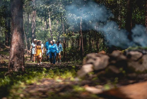 Group walking through the bush with smoking ceremony in foreground, Mandingalbay Authentic Indigenous Tours, Cairns, Queensland © Tourism Australia
