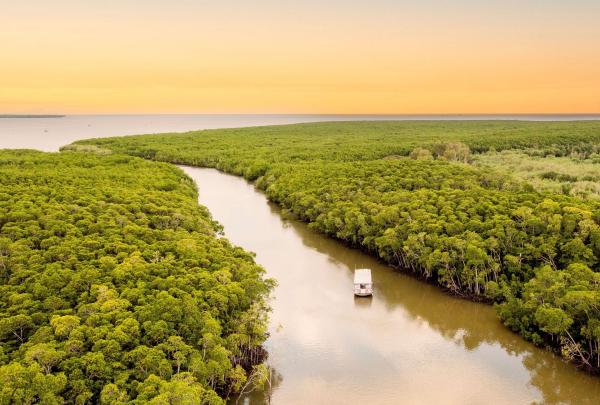 Aerial view of the Mandingalbay Ancient Indigenous Tours boat, cruising through mangroves, Mandingalbay Authentic Indigenous Tours, Cairns, Queensland © Tourism and Events Queensland