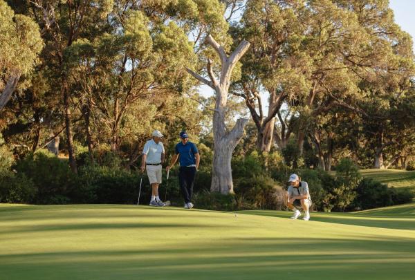 A group of golfers assesses a putt on a manicured green at Meadow Springs Golf and Country Club in Meadow Springs, Western Australia. The course is famously framed by a dense forest of ancient Tuart trees, providing a secluded and natural setting for a late afternoon round. © Tourism Australia