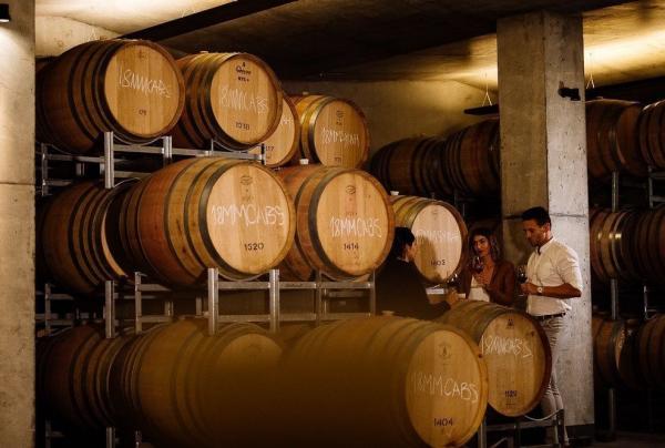 Wine tasting in the cellar, Moorilla at Mona, Berriedale, Hobart, Tasmania © MONA