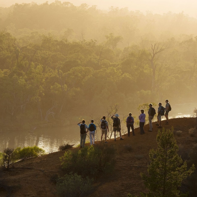 A group of hikers stand on the banks looking out along the Murray River in Renmark, South Australia © Murray River Walk