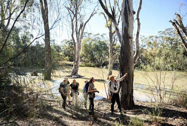 Group looking up to see what the guide is pointing towards, Murray River Trails, Renmark, South Australia © Tourism Australia