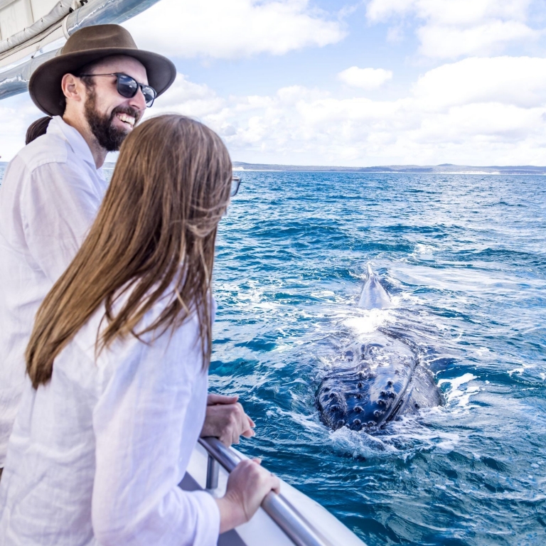 A man and a woman standing on a boat, looking out at a humpback whale in the ocean, Pacific Whale Foundation Eco Adventures, Hervey Bay, Queensland © Tourism Australia