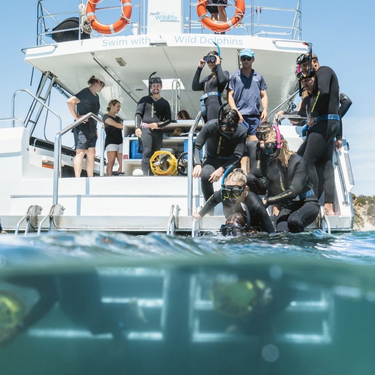 A group of snorkelers on a boat, preparing to enter into the ocean on a tour, Perth, Western Australia © Tourism Australia