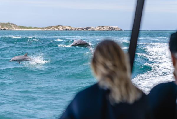 A woman on a boat looks out at dolphins jumping out of the water in Rockingham, Perth Wildlife Encounters, Perth, Western Australia © Tourism Australia