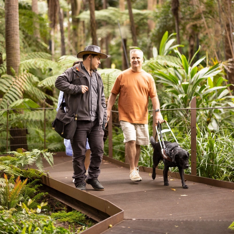 In the heart of the Royal Botanic Gardens Melbourne, a guide shares tales of ancient wisdom and cultural heritage, with one visitor accompanied by their faithful guide dog, Aboriginal Heritage Walk, Royal Botanic Gardens Melbourne, Melbourne, Victoria © Tourism Australia