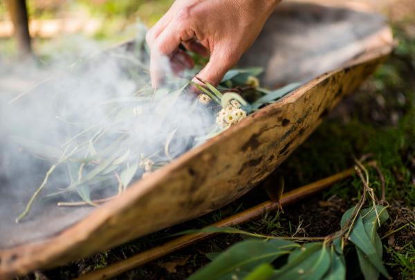Aboriginal Heritage Walk at Royal Botanic Gardens, Melbourne, Victoria © Visit Victoria