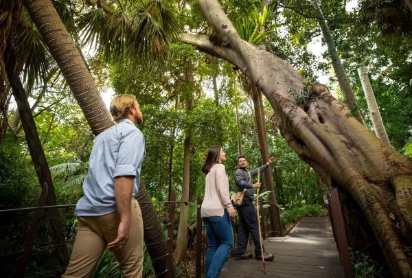 Couple taking the Aboriginal Heritage Walk, Royal Botanic Gardens Melbourne, Melbourne, Victoria © Tourism Australia