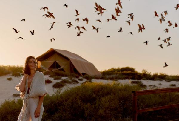 A person stands on a wooden boardwalk extending from their luxury safari tent at Sal Salis in Ningaloo, Western Australia © Tourism Australia