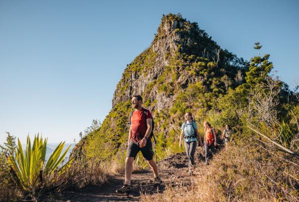 A group of hikers walks along the Scenic Rim Trail, pausing to take in the breathtaking view around them. Warm sunshine lights up the landscape, casting a golden glow over the scene. They are surrounded by native bush, with tall trees and rugged greenery framing the path. Behind them, a dramatic mountain peak rises into the clear sky, adding to the sense of adventure and natural beauty as they continue their journey together. © Tourism Australia