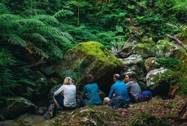 Four hikers pause on the Scenic Rim Trail, surrounded by lush, verdant green bush. Sunlight gently filters through the tall trees above, casting soft, dappled patterns across mossy rocks and the forest floor. Giant ferns fan out around them, adding to the sense of scale and quiet beauty. The group sits together, taking in the peaceful atmosphere, breathing in the fresh air, and appreciating the calm, natural wonder of their surroundings. © Tourism Australia