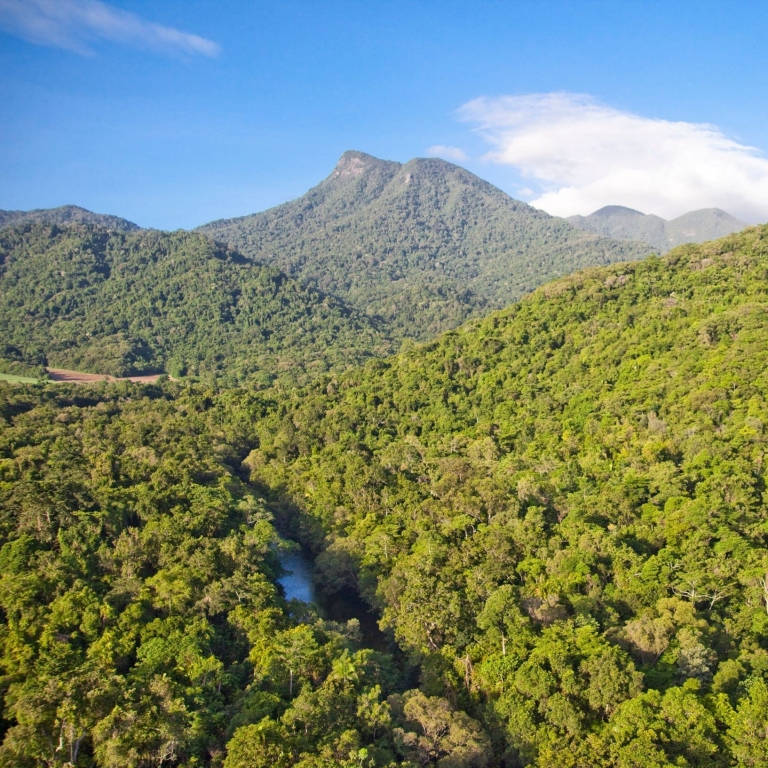 Mt Demi Rainforest, Silky Oaks Lodge, Tropical North Queensland, Queensland © Silky Oaks Lodge