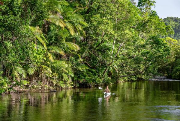 A serene scene unfolds as a solitary figure glides in a kayak along the tranquil waters of the Mossman River, Silky Oaks Lodge, Tropical North Queensland, Queensland © Tourism Australia