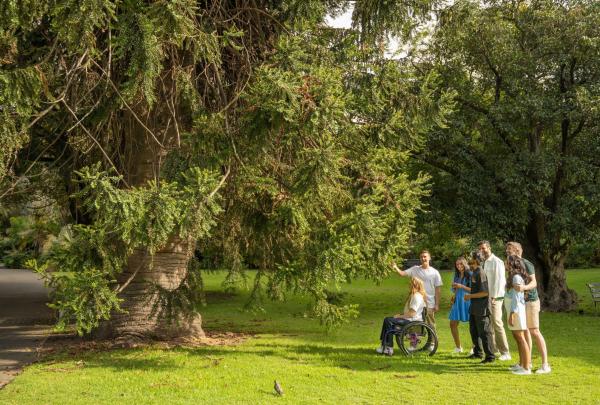 An Indigenous tour guide from Southern Cultural Immersion leads a group through Adelaide Botanic Gardens and gestures towards various plant species, Adelaide, South Australia © Tourism Australia