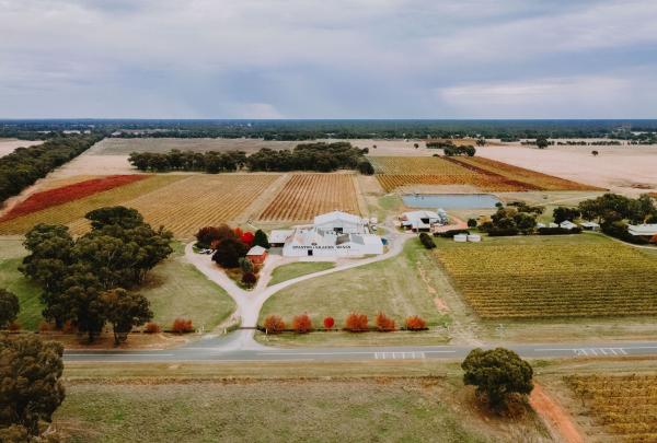 An aerial view of Stanton and Killeen in the Murray River region, Victoria, showing the expansive vineyard during autumn. Red and gold vines surround the white winery buildings and a blue dam under a soft, overcast sky. © Stanton & Killeen