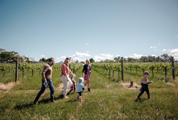 Under a bright blue sky at Stanton and Killeen in the Murray River region, Victoria, three adults and three children wander through lush, sunlit vineyard rows. The family enjoys a peaceful, breezy day among the green vines. © Stanton & Killeen