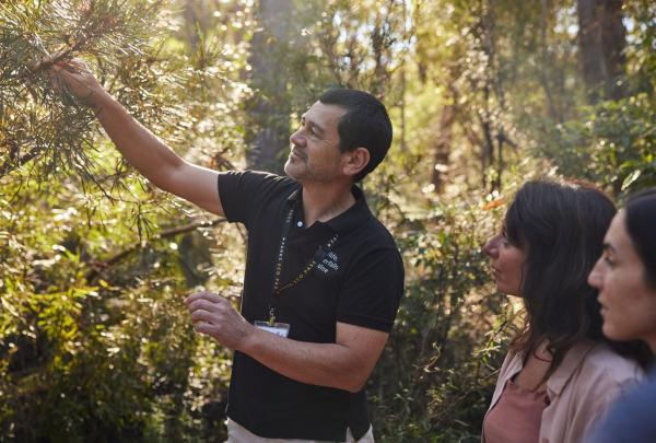 Guide Steve Nomchong, leading a group of people on a tour, Sydney Bespoke Tours, Sydney, New South Wales © Sydney Bespoke Tours